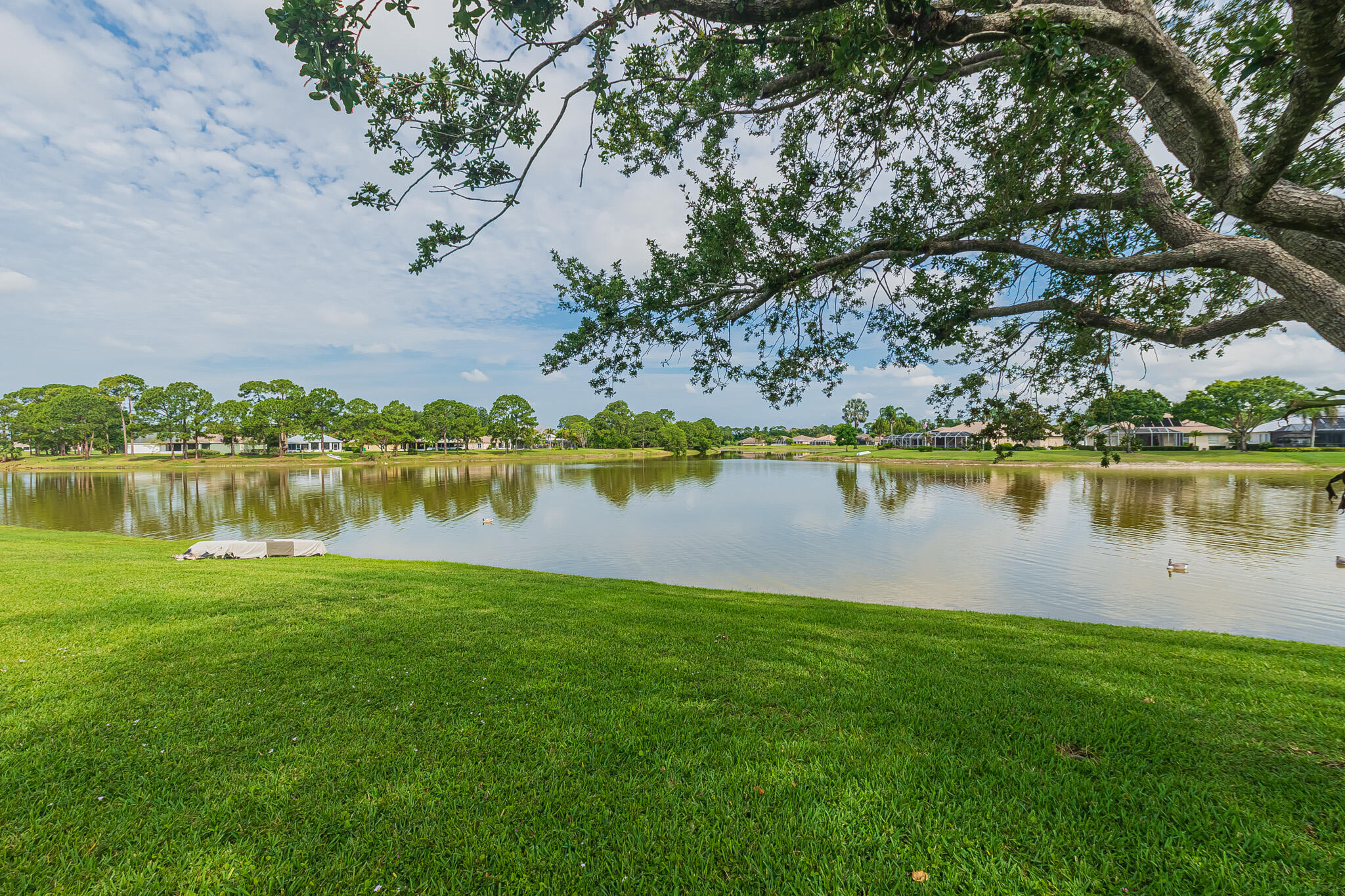 Whitewood Dr, Port Saint Lucie, FL 34953 #1