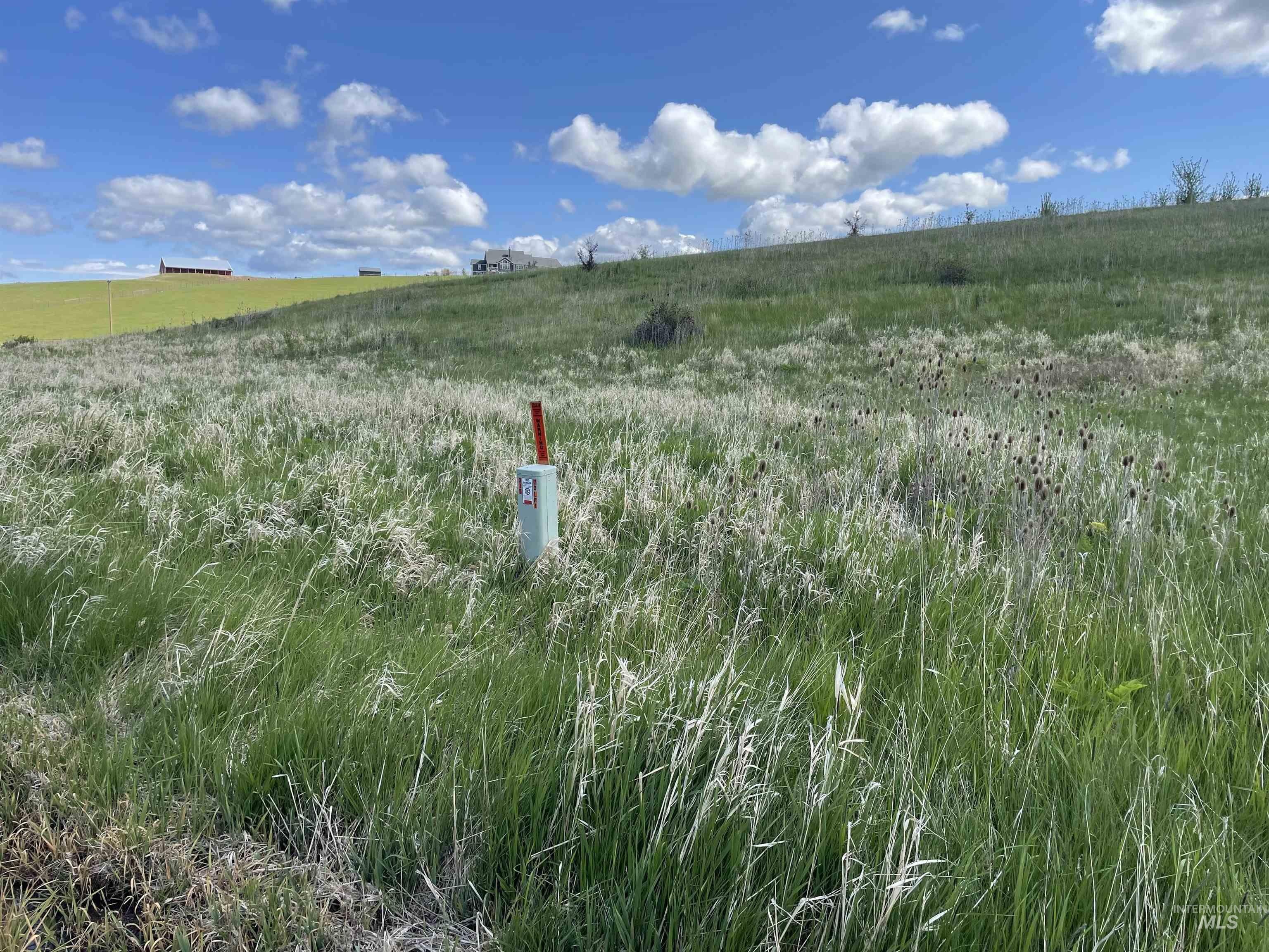 Blaine Rd, Moscow, ID 83843 #1