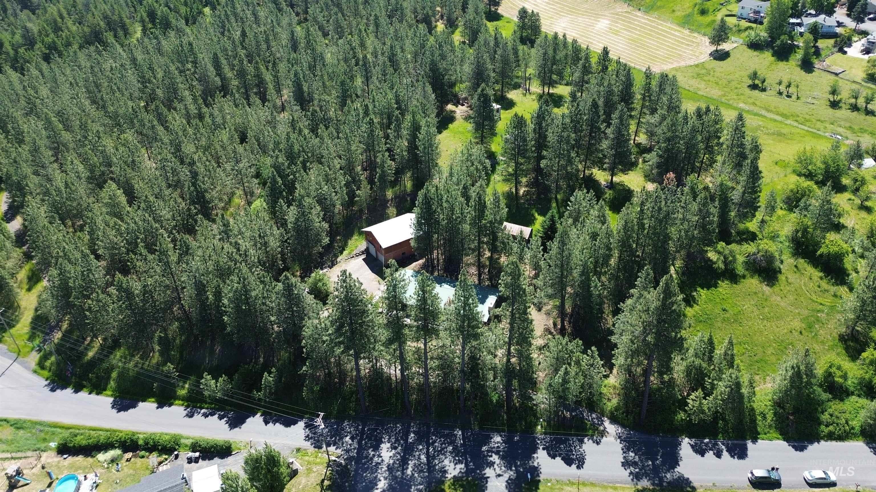 Big Meadow Rd, Troy, ID 83871 #1