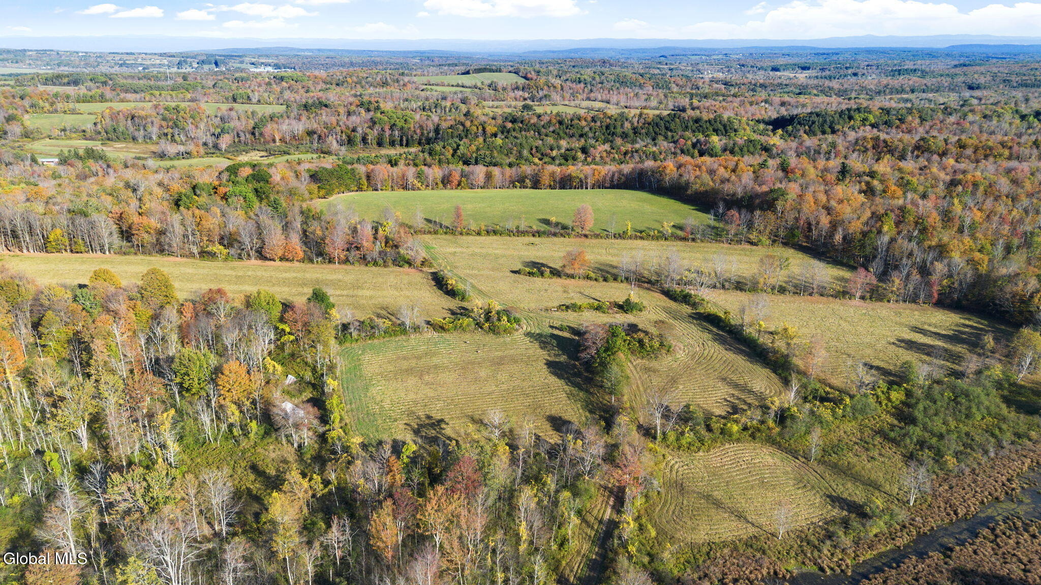 Kropp Rd, Westerlo, NY 12193