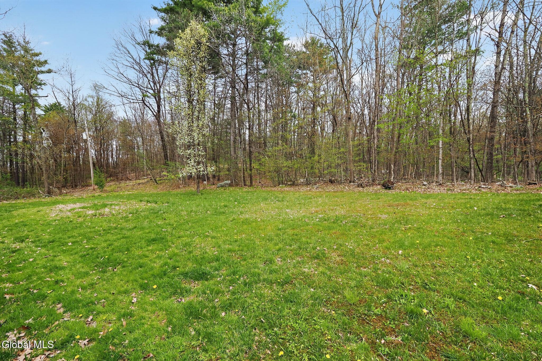 Tsatsawassa Lake Rd, East Nassau, NY 12062