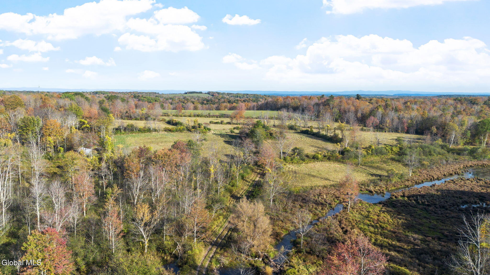 Kropp Rd, Westerlo, NY 12193 #1