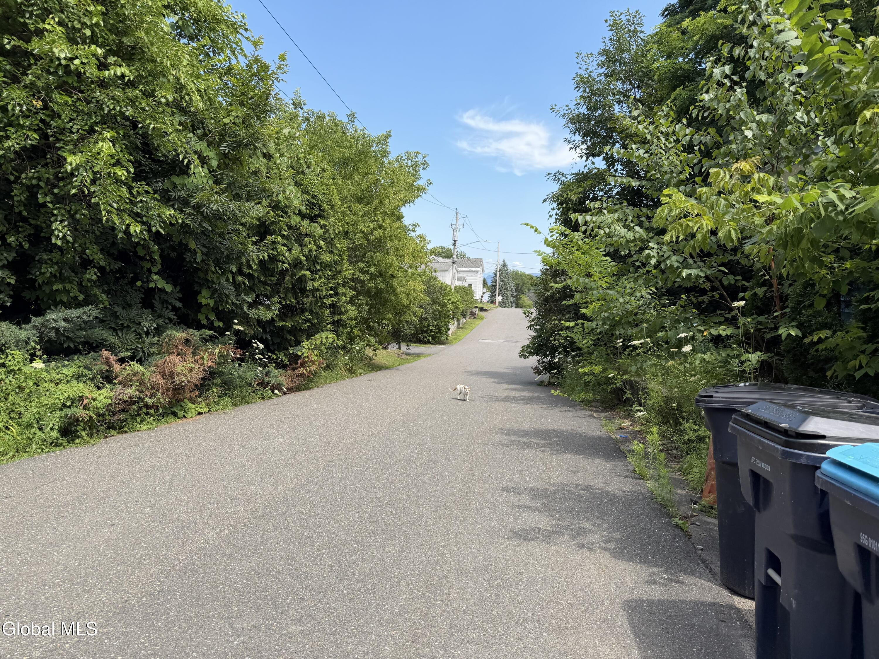Elizabeth St, Port Henry, NY 12974 #1
