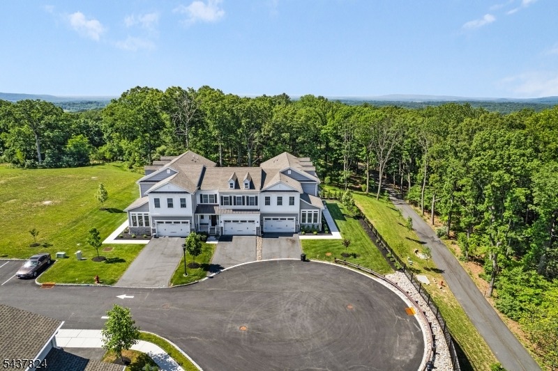 Hillandale Dr, Far Hills, NJ 07931 #1
