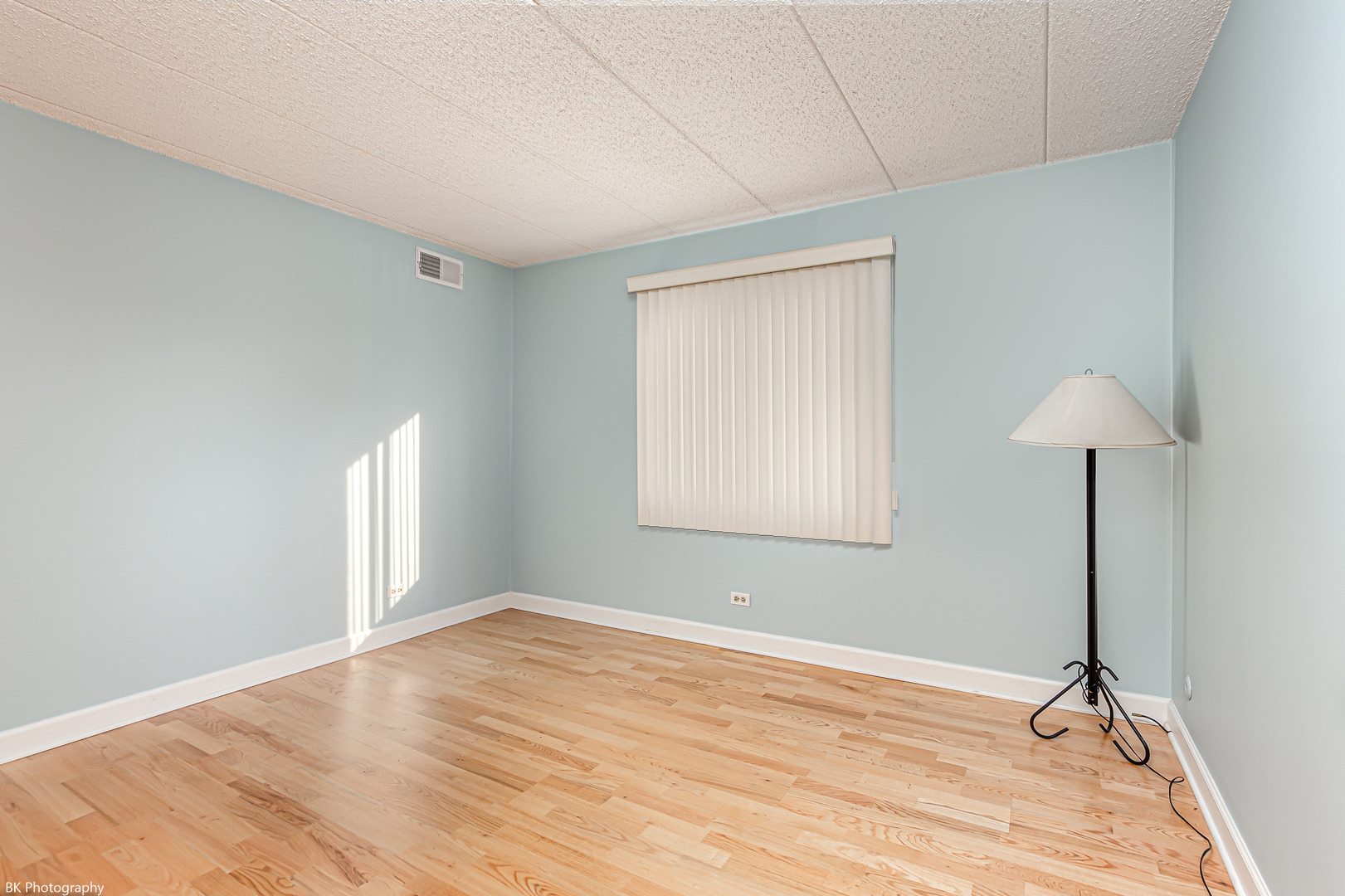 Austin Ave, Oak Lawn, IL 60453 #1