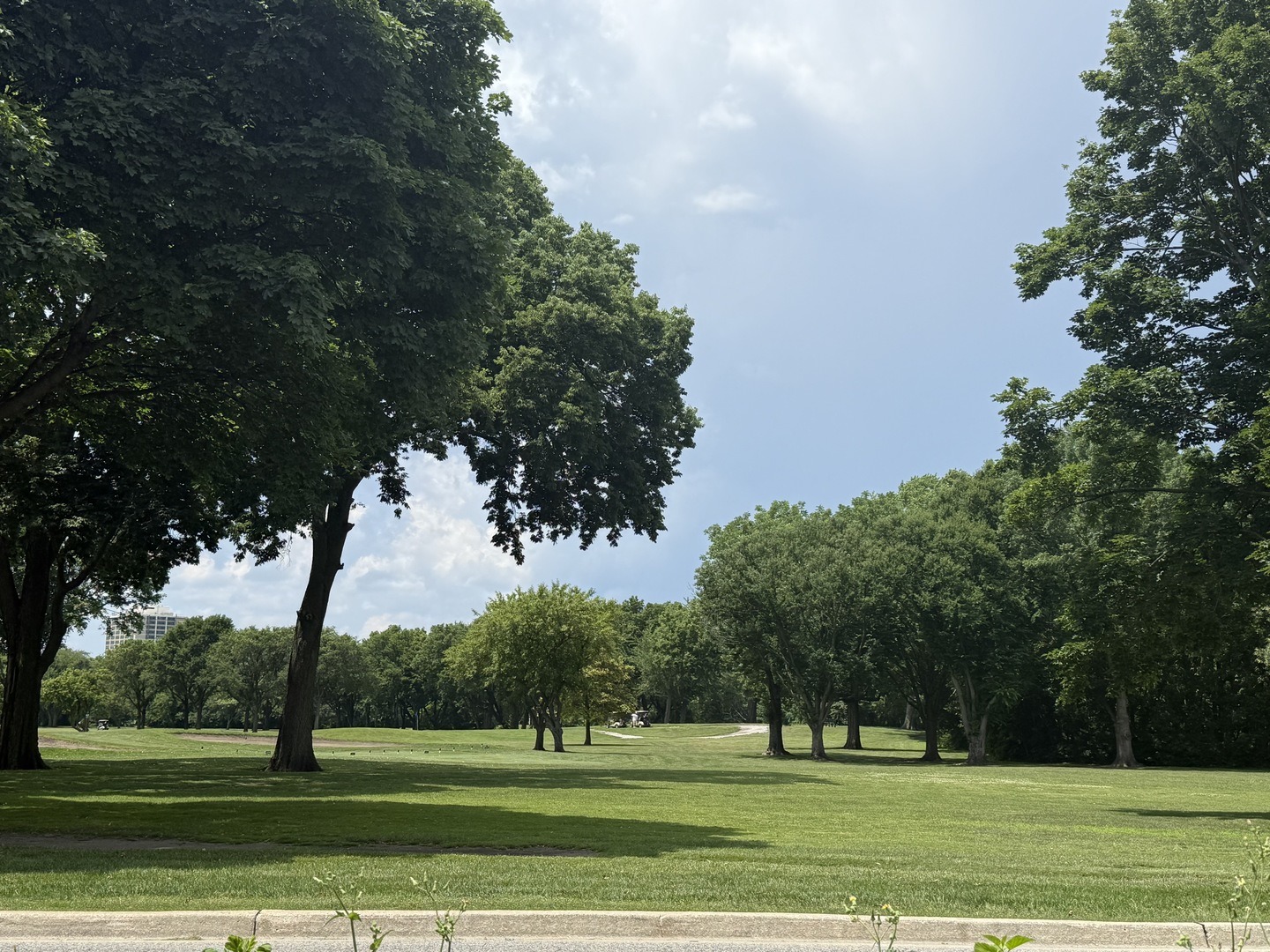 Ridgeland Ave, Chicago, IL 60649 #1