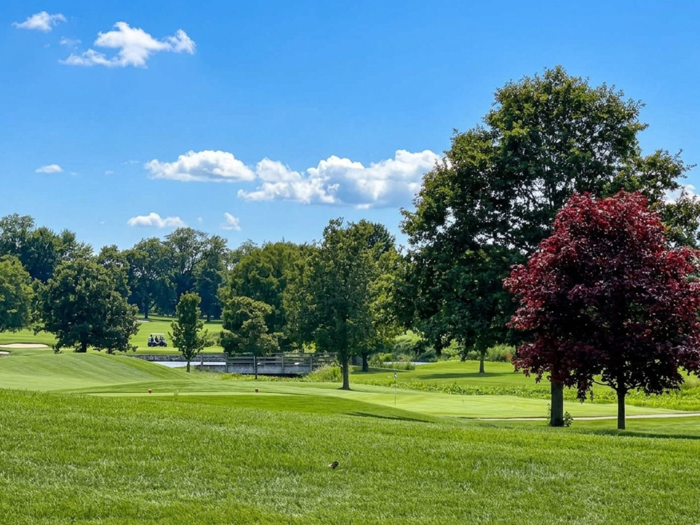 Maplebrook Ct, Schaumburg, IL 60194