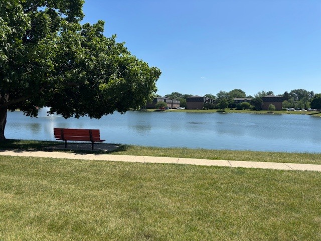 Bay Colony Dr, Des Plaines, IL 60016 #1