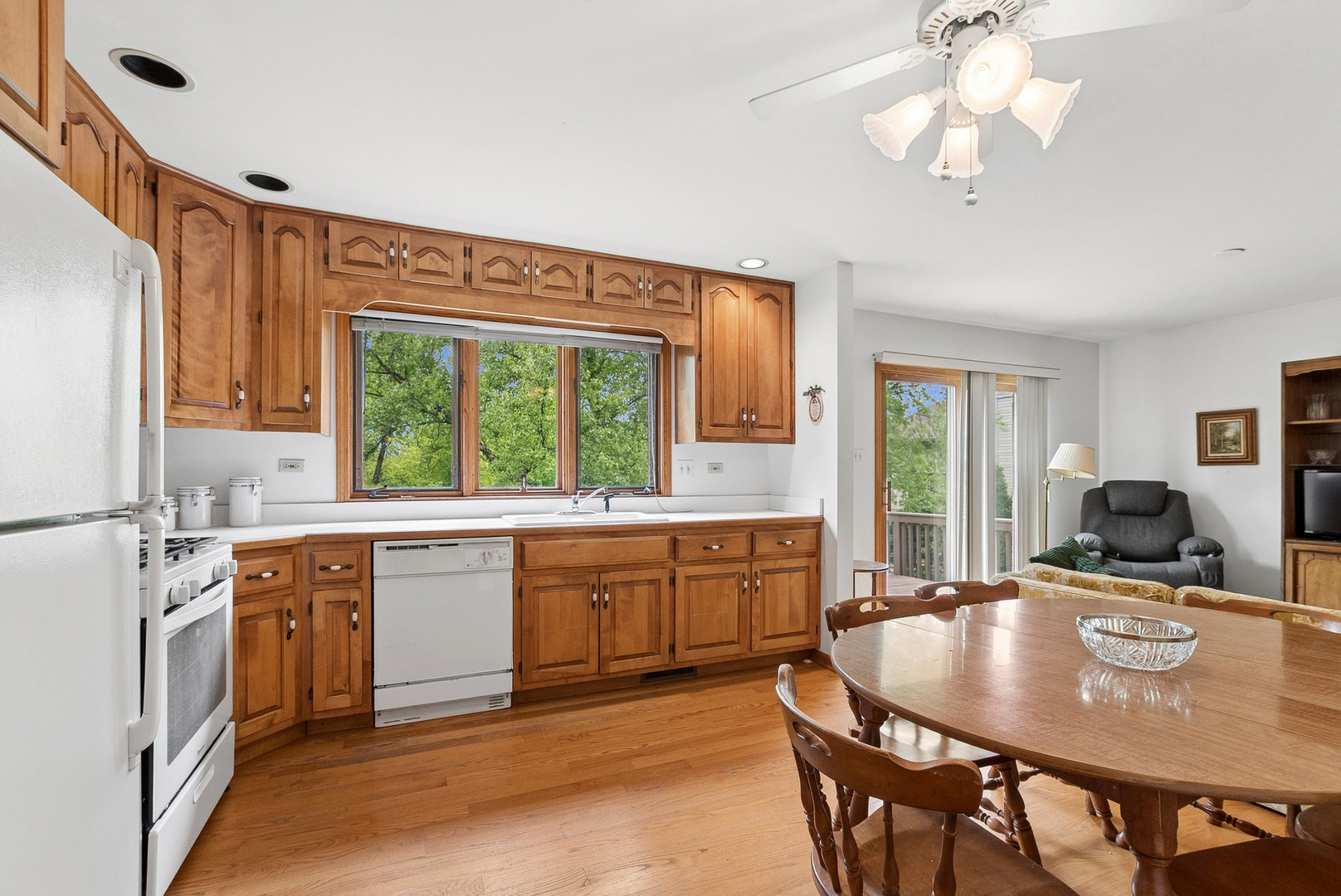 Shenandoah Dr, Orland Park, IL 60467 #1