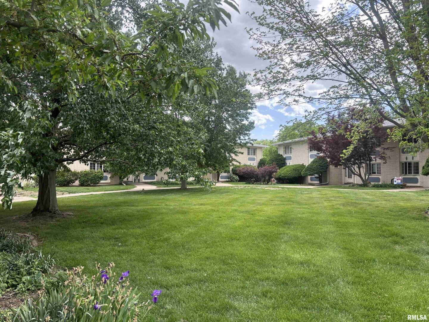 17th St, Moline, IL 61265 #1