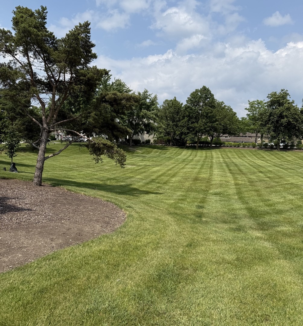 Stockley Rd, Downers Grove, IL 60516 #1