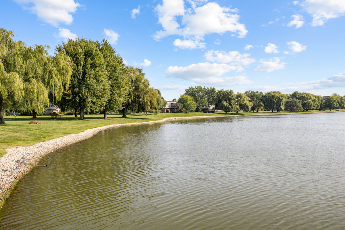 Burgundy Ct, Elk Grove Village, IL 60007 #1