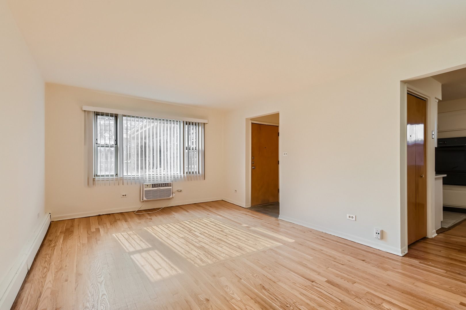 Chappel Ave, Chicago, IL 60649 #1