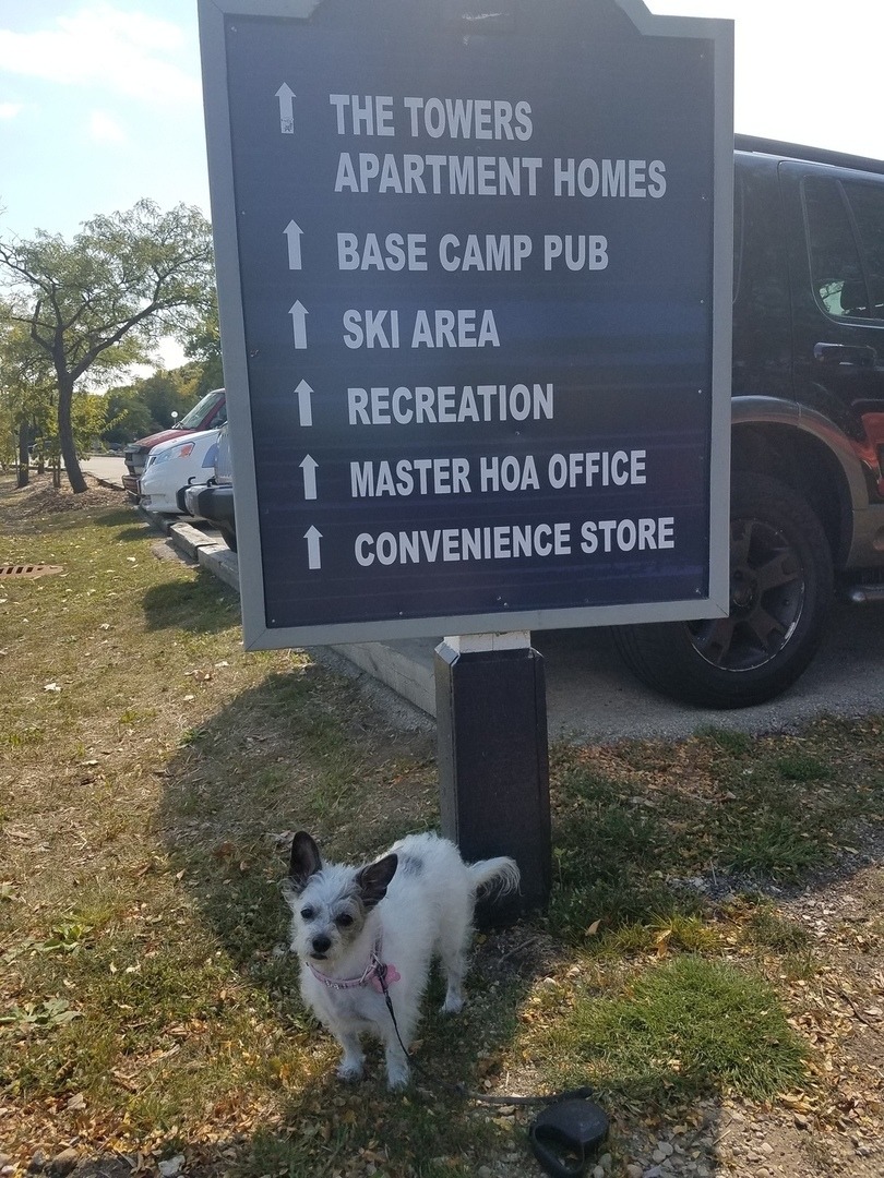 Lake Dr, Lisle, IL 60532 #1