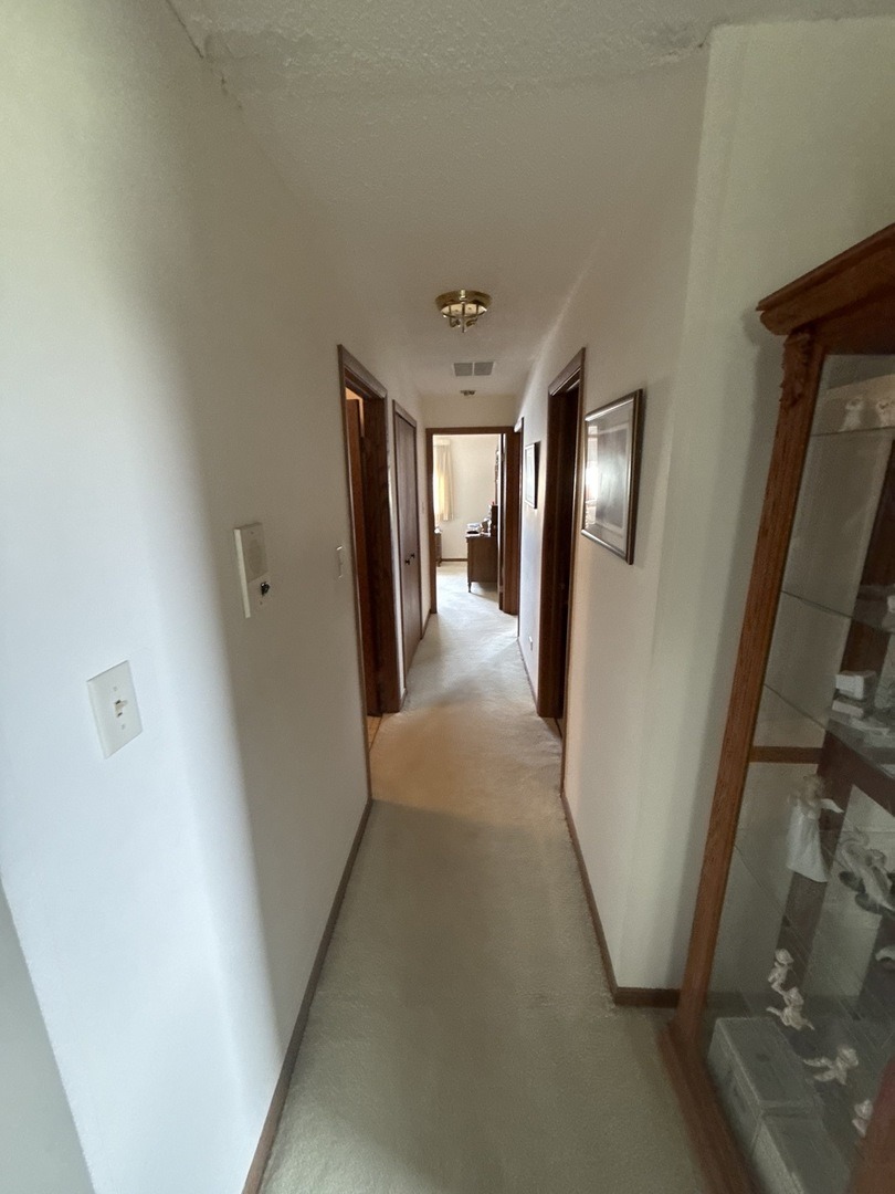 153rd St, Orland Park, IL 60462 #1