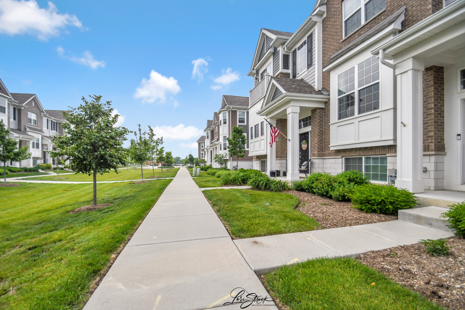 Addison Trl, Homer Glen, IL 60491