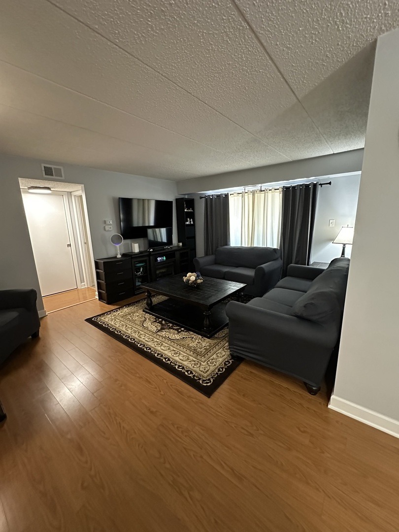 175th St, Tinley Park, IL 60477 #1