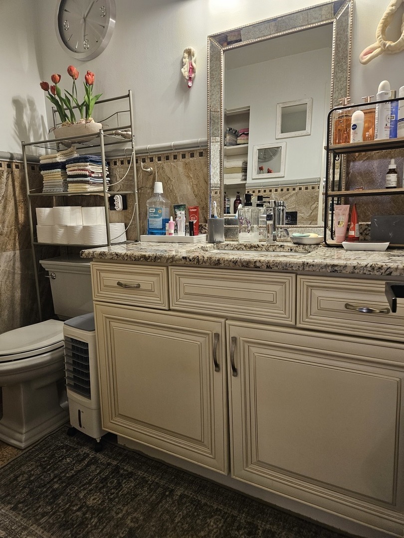 Delphia Ave, Chicago, IL 60656 #1