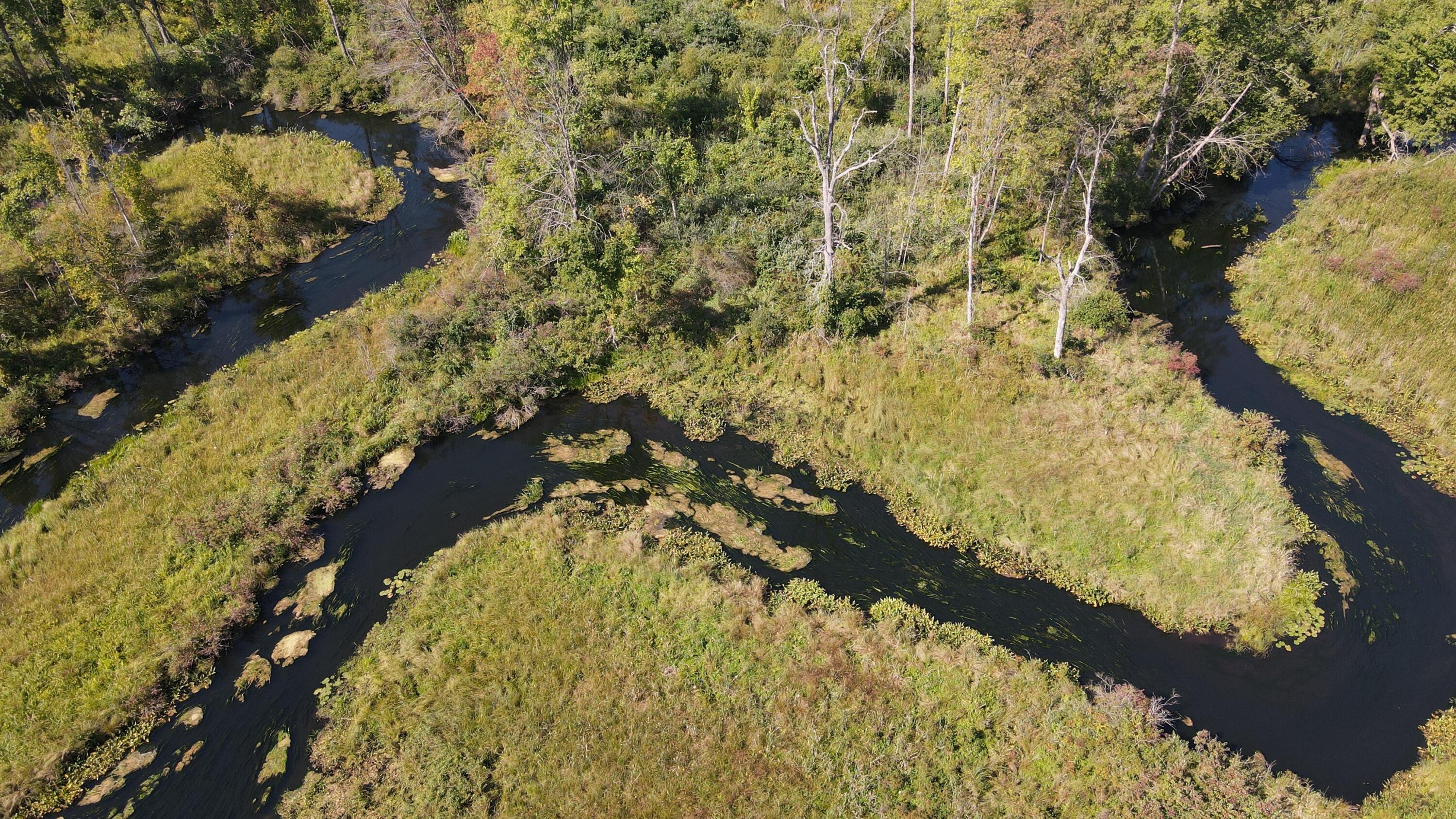 Johnson Rd, Three Rivers, MI 49093