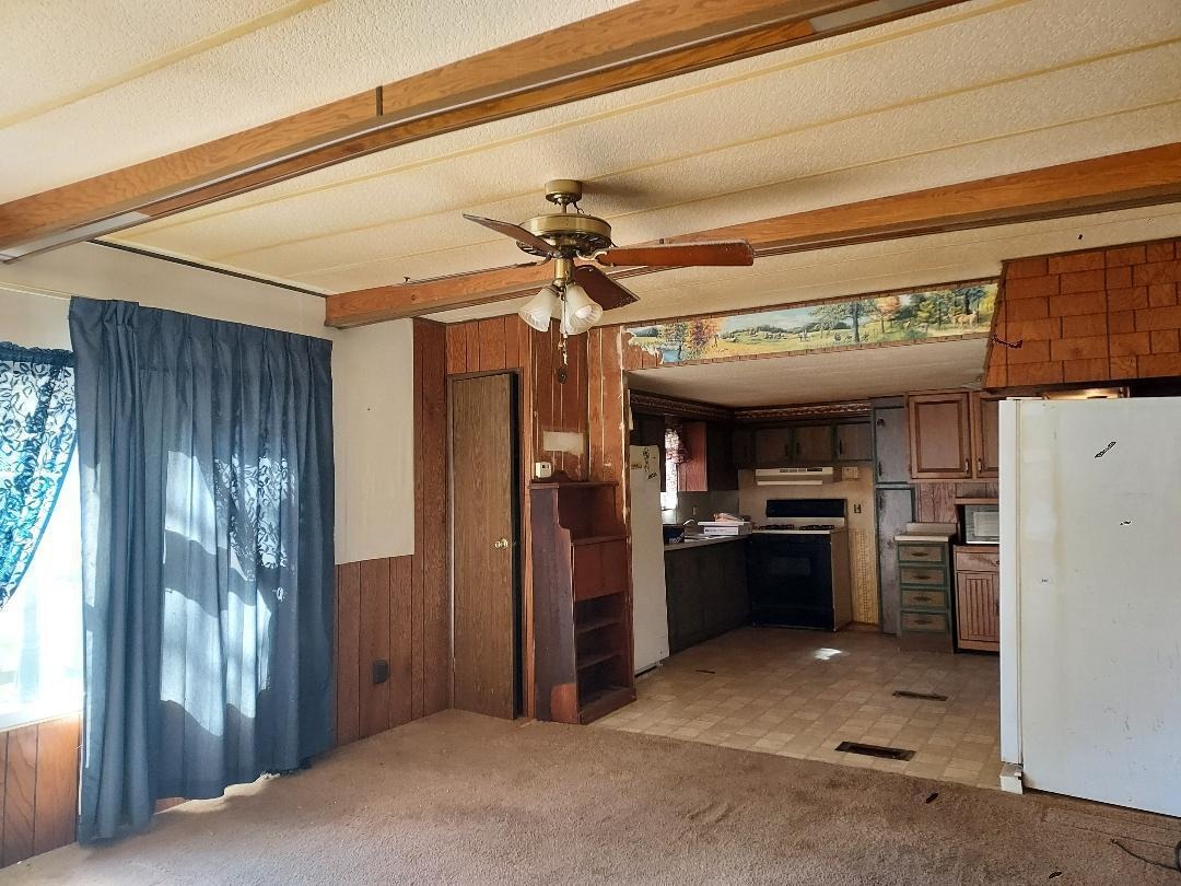 Porter Ave, Bitely, MI 49309 #1