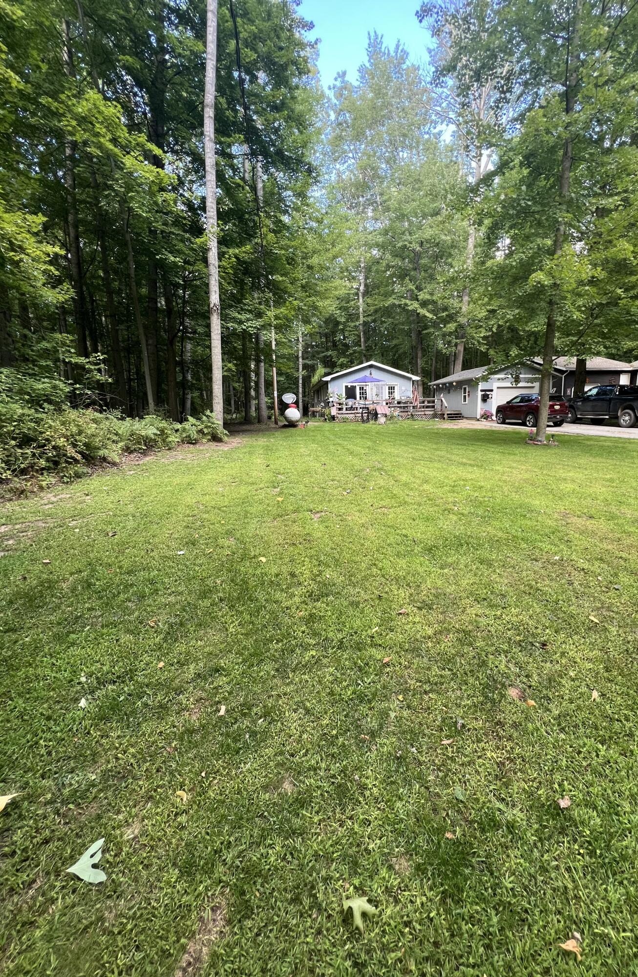 Pine Tree Trl, Stanwood, MI 49346 #1