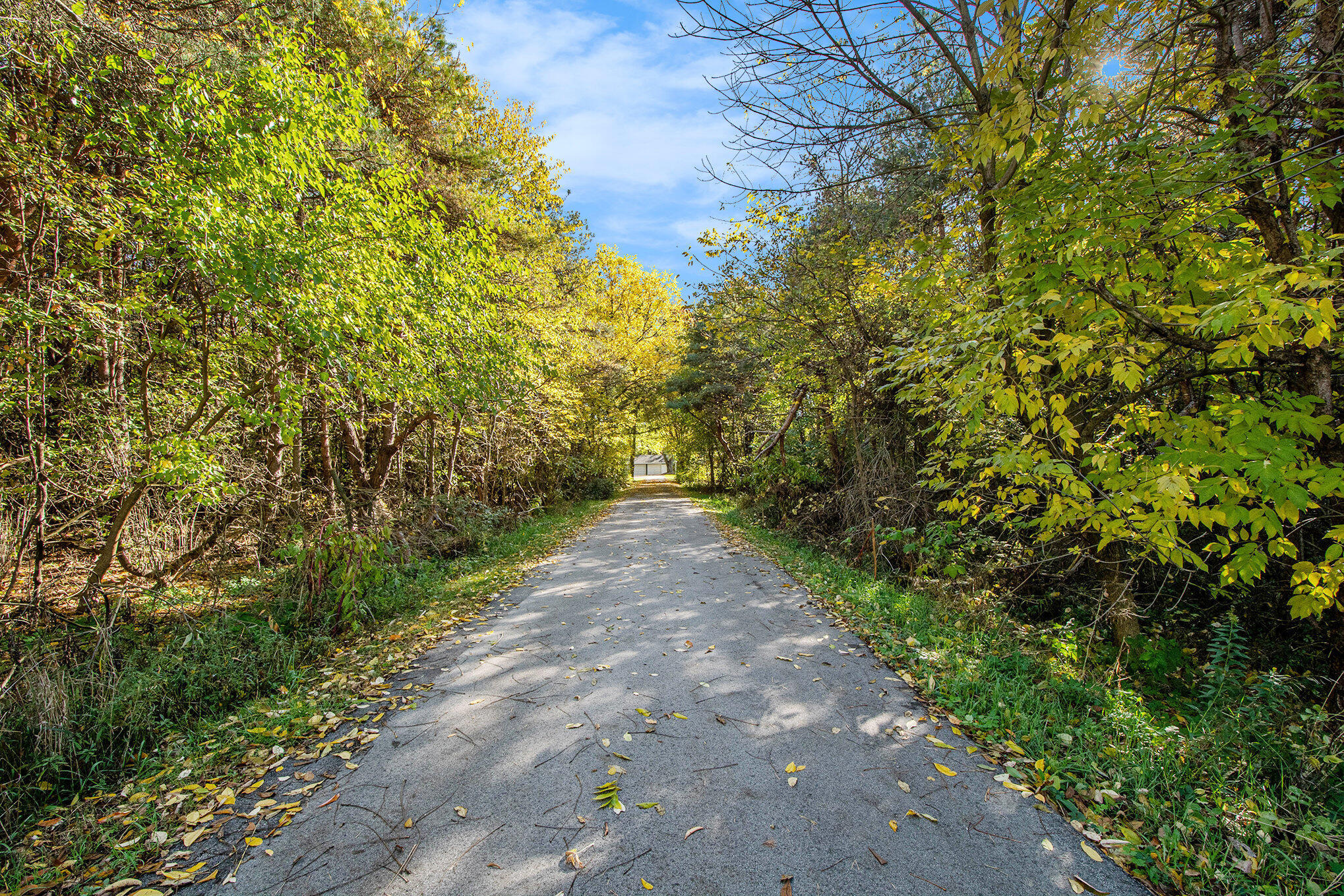 92nd St, Caledonia, MI 49316 #1