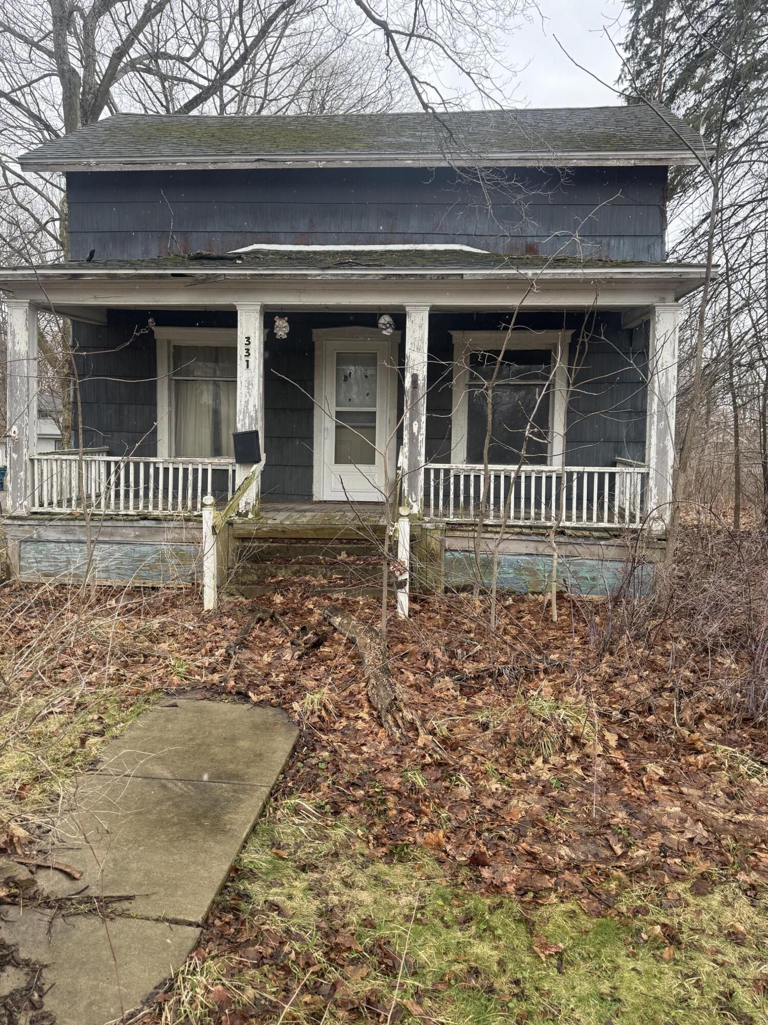 Main St, Bellevue, MI 49021