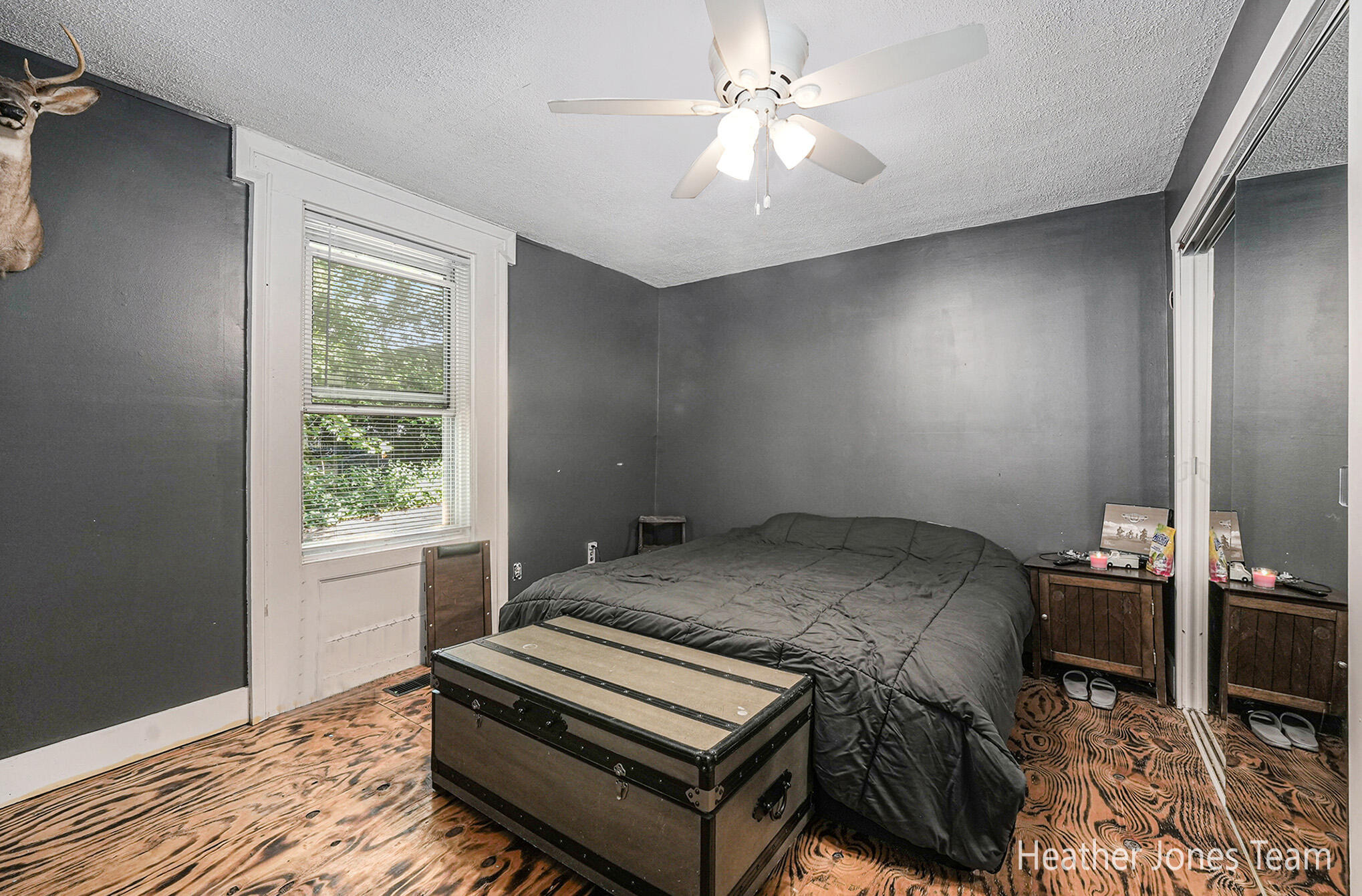 Elizabeth St, Lyons, MI 48851