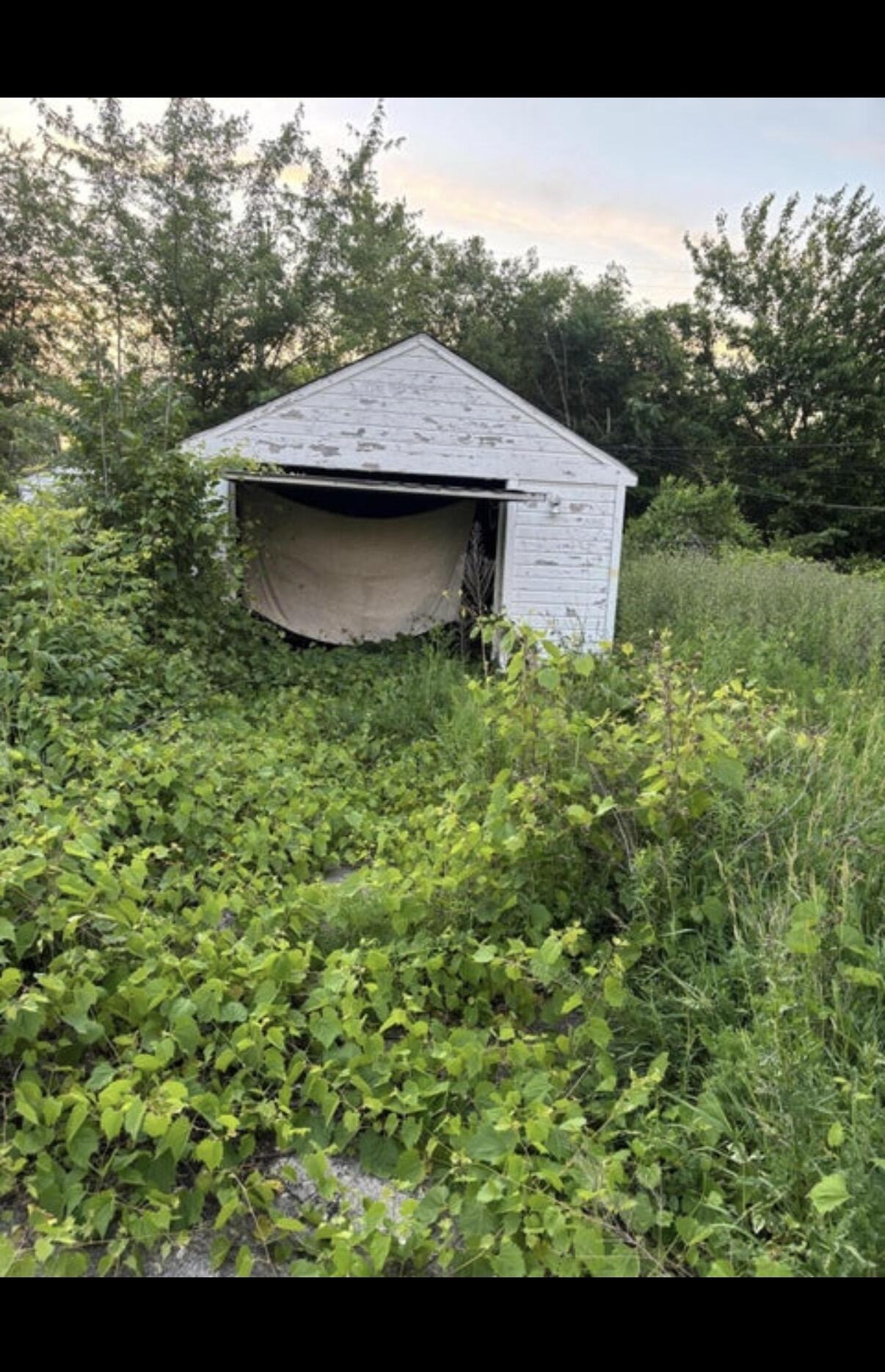 Elmdale St, Detroit, MI 48213 #1