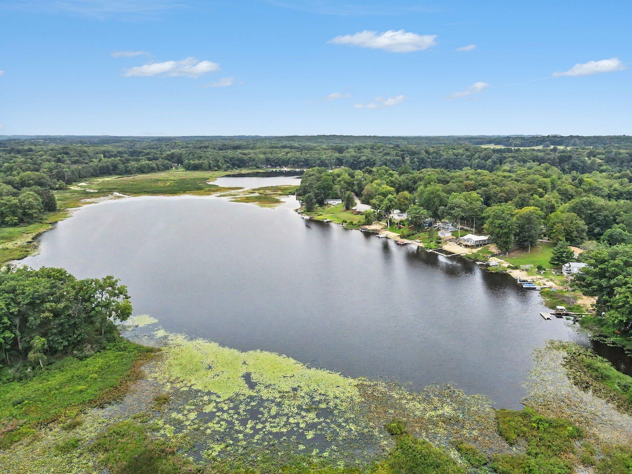 Woods Trail Dr, Delton, MI 49046 #1