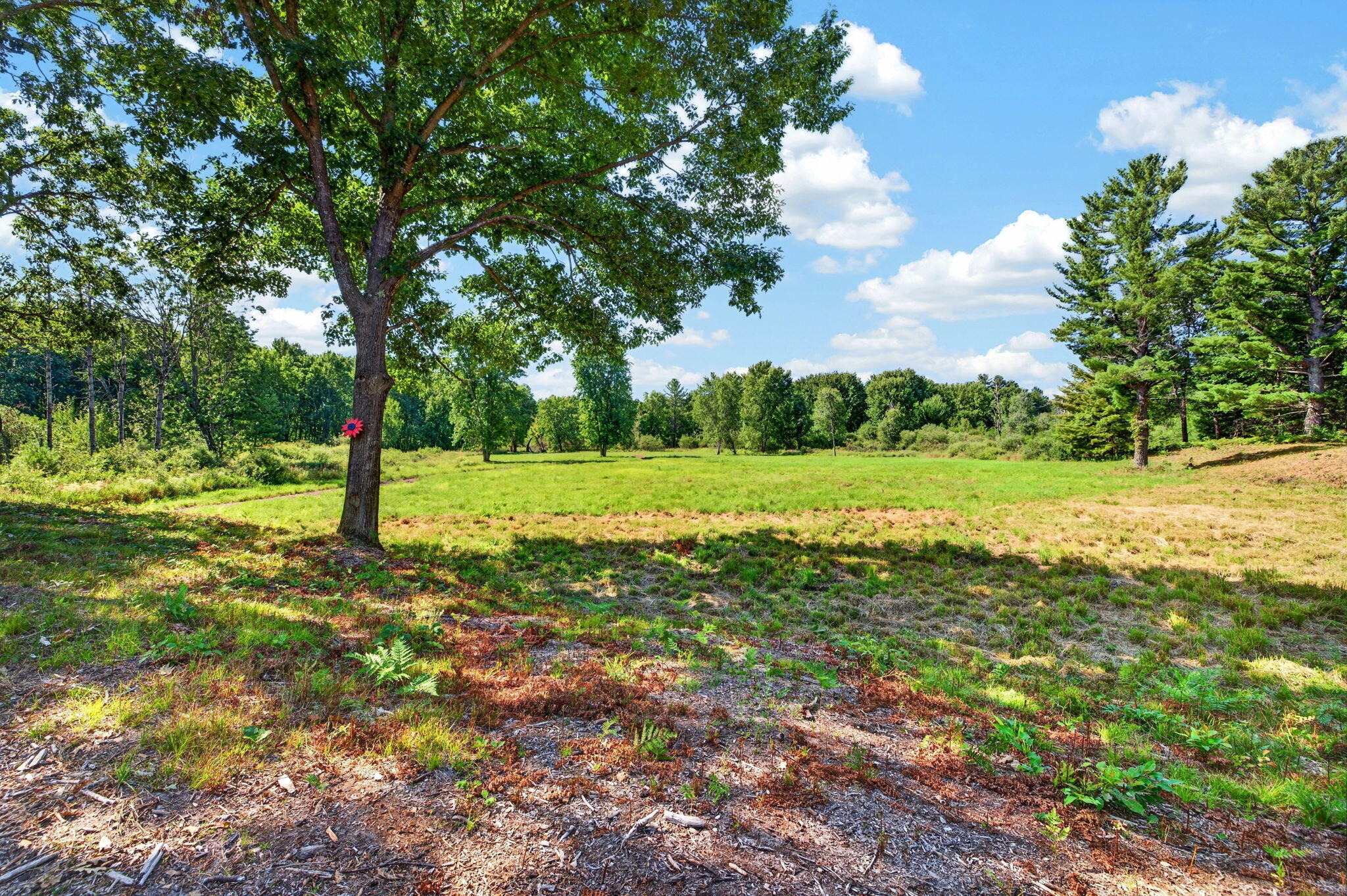 Shores Dr, Free Soil, MI 49411