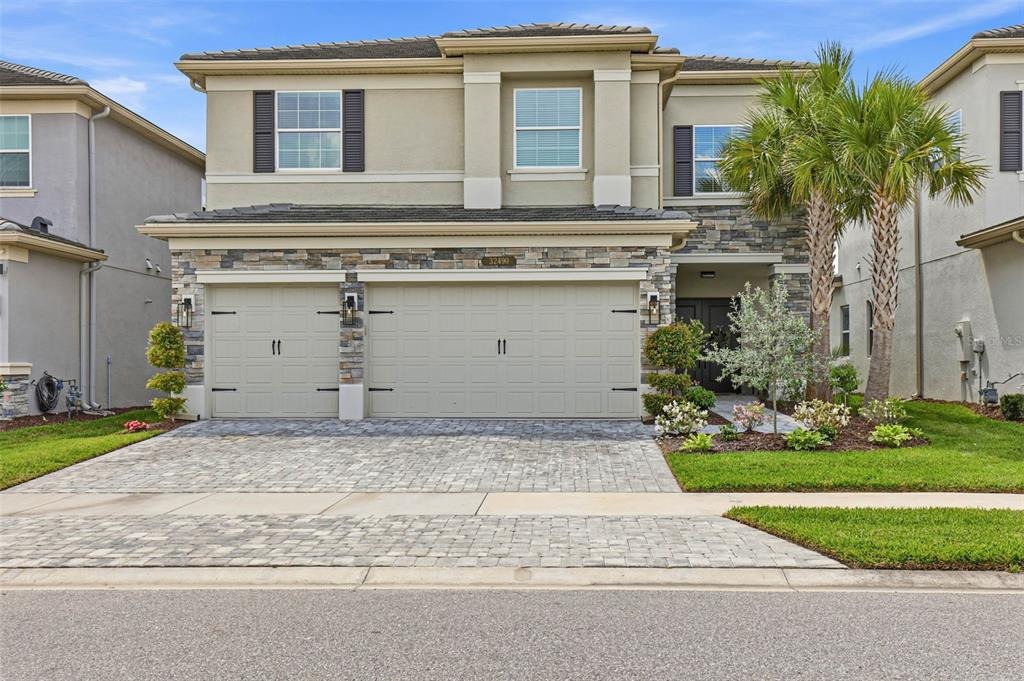 Tree Of Life Ave, Wesley Chapel, FL 33543