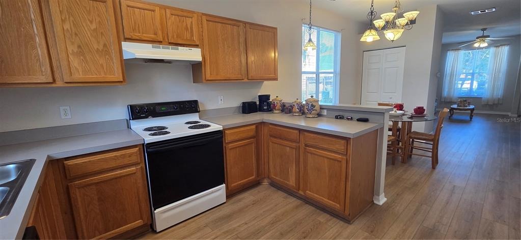 20th Ave, Gainesville, FL 32607 #1