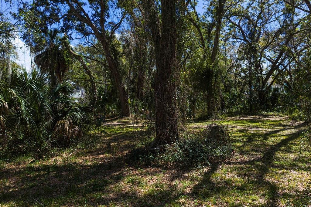 Bay Dr, Tampa, FL 33635 #1