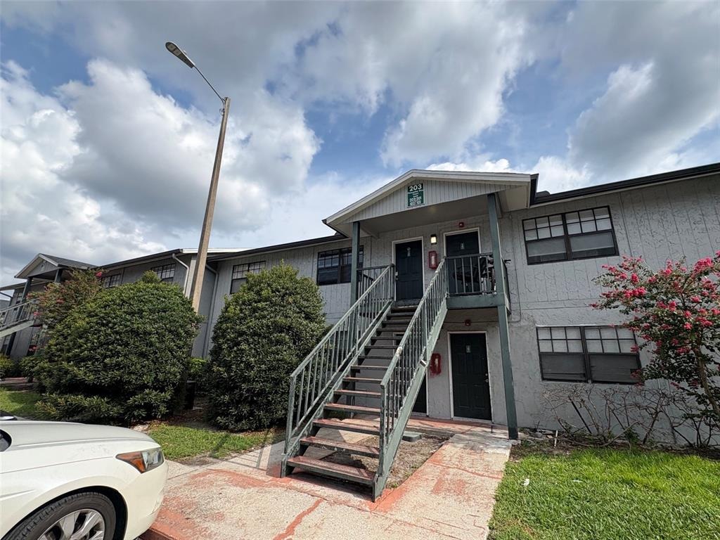 Poinsettia Pine Ct, Tampa, FL 33612