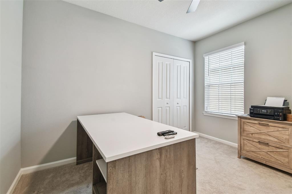 Turning Leaf Cir, Land O Lakes, FL 34638 #1