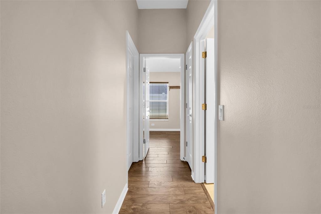 Rustic View Ct, Tampa, FL 33635 #1