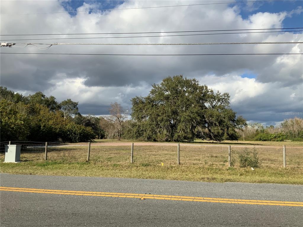 Woodlea Rd, Tavares, FL 32778 #1
