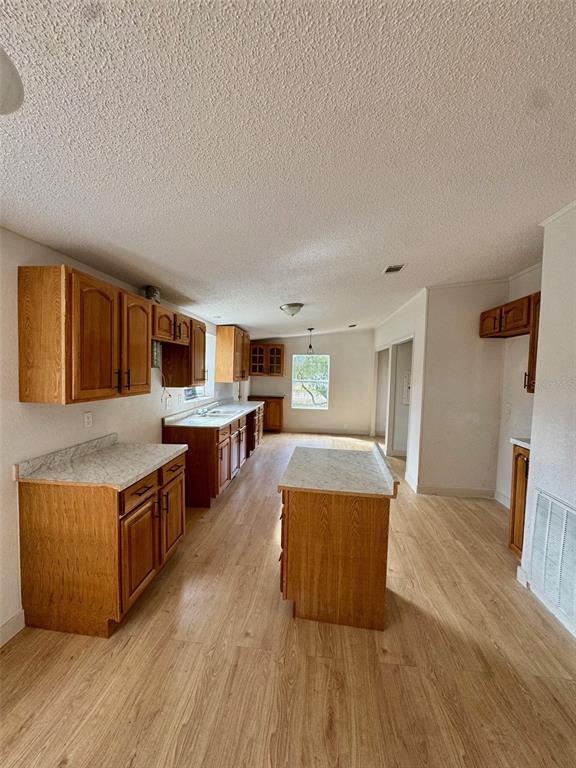 Deacon Loop, Wesley Chapel, FL 33544 #1