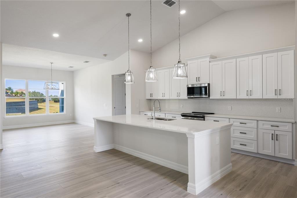 Snowy Orchid Way, Lake Alfred, FL 33850 #1