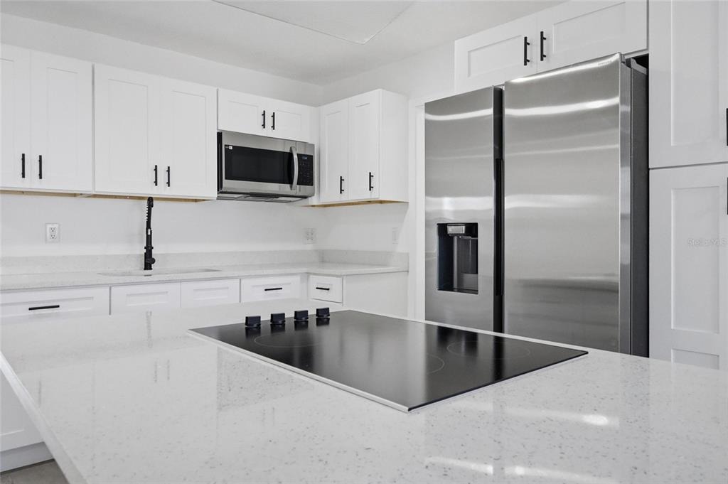 Driftwood Cir, Oldsmar, FL 34677 #1
