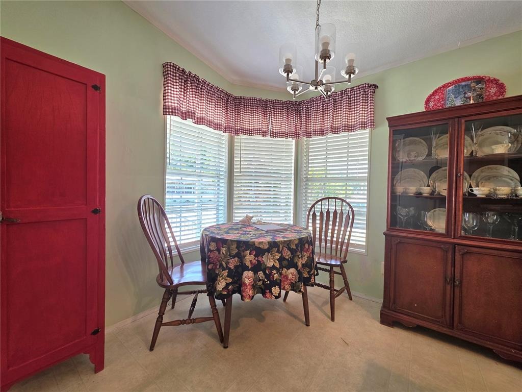 Lois Ave, Zephyrhills, FL 33542 #1