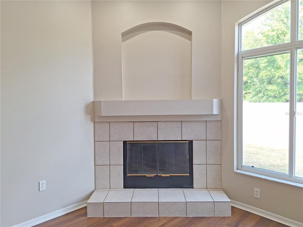 Ellendale Dr, Land O Lakes, FL 34638 #1