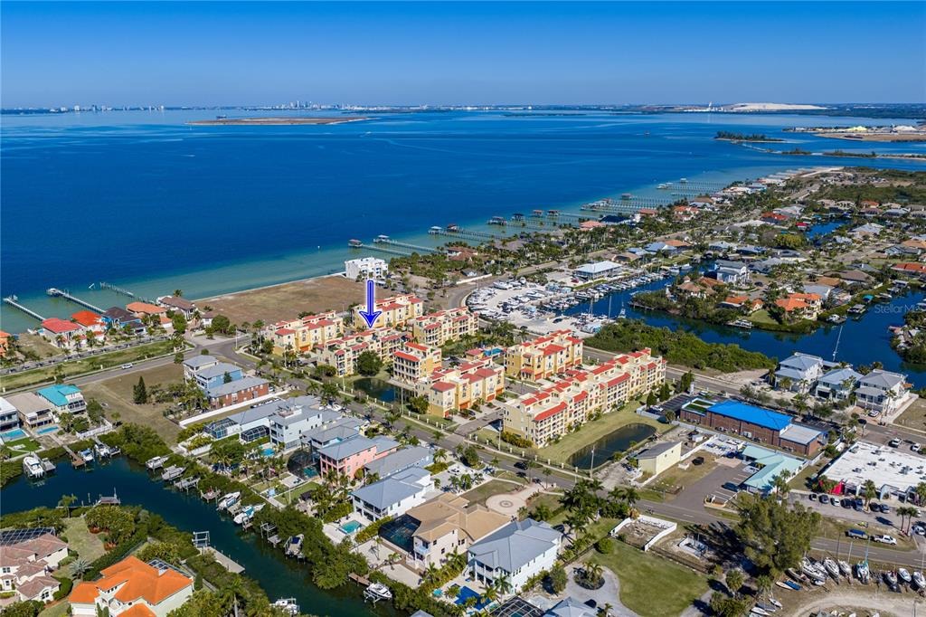 Mayra Shores Ln, Apollo Beach, FL 33572 #1