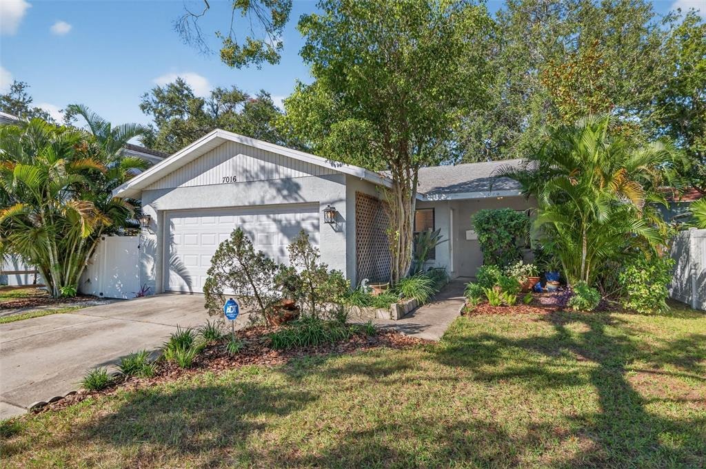 2nd St, Saint Petersburg, FL 33702