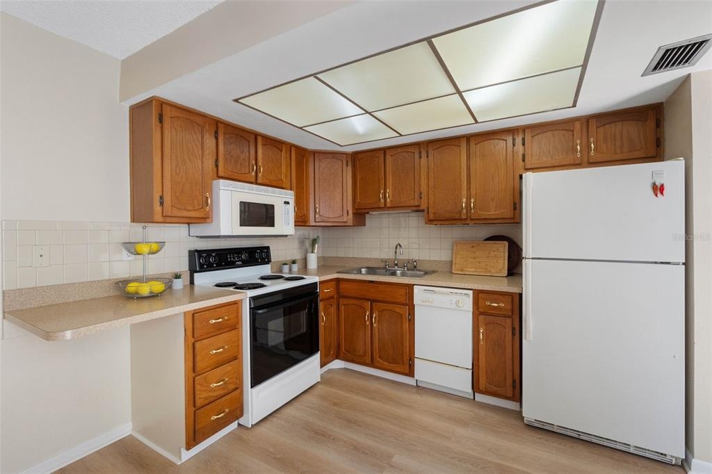 Orange Tree Cir, Palm Harbor, FL 34684 #1