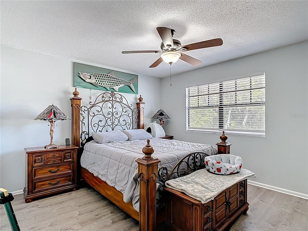 Pine Violet Ct, Tampa, FL 33612 #1
