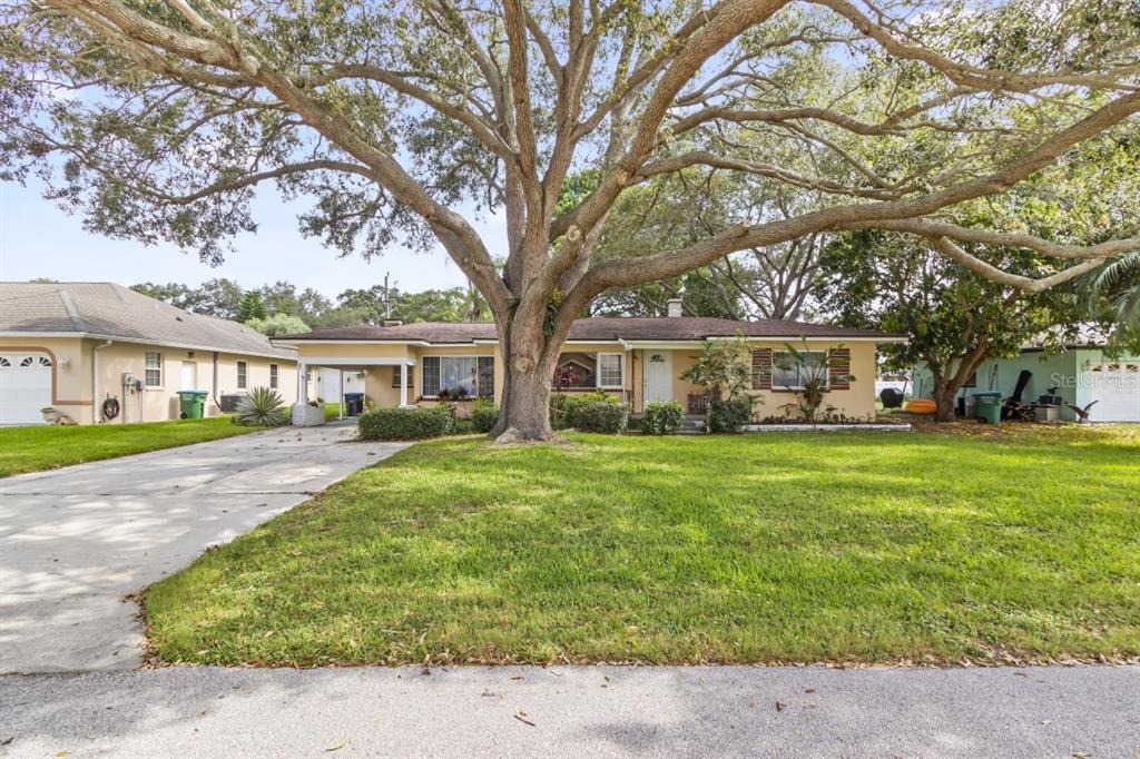 Lime St, Clearwater, FL 33756