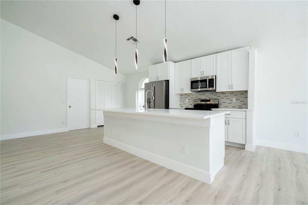 Newt St, Orlando, FL 32837 #1