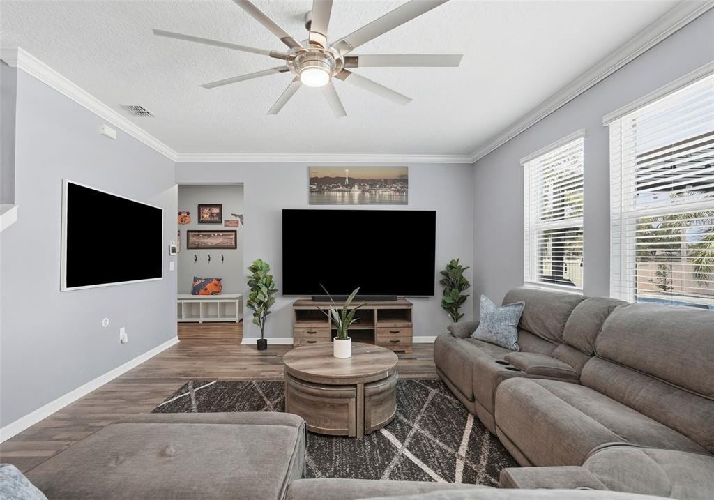 Whitland Grove Dr, Riverview, FL 33578 #1